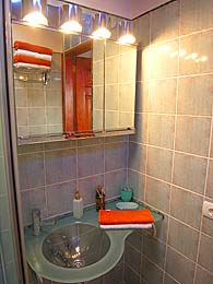 Das separate Badezimmer mit Dusche und WC ist sehr individuell und wie der Rest des Hauses, in bester Qualität ausgestattet.